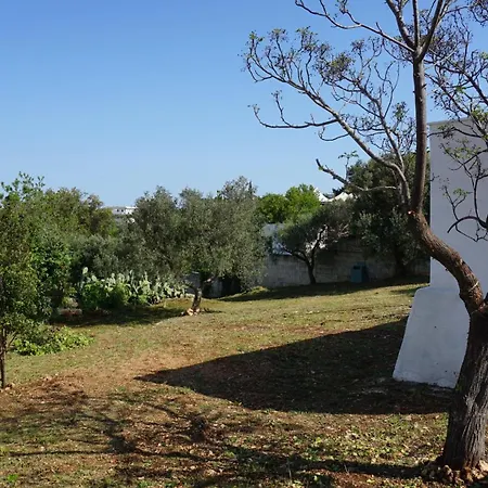 Trullo Eleanto ヴィラ