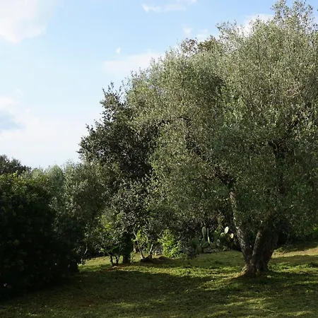 ヴィラ Trullo Eleanto